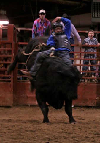 Bull Ride 28. Photo by Carie Whitman.