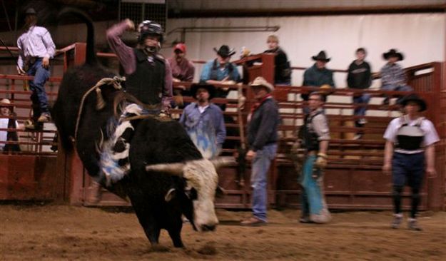 Bull Ride 29. Photo by Carie Whitman.