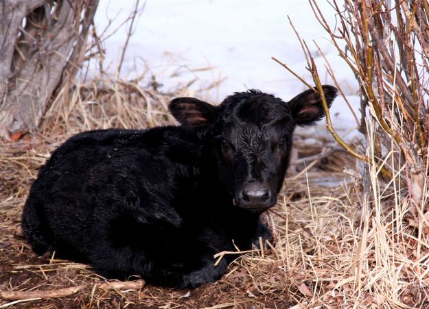 Aren't I cute?. Photo by Carie Whitman.