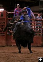 Bull Ride 28. Photo by Carie Whitman.