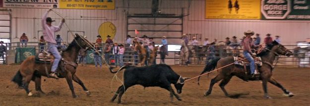 Team Roping. Photo by Carie Whitman.