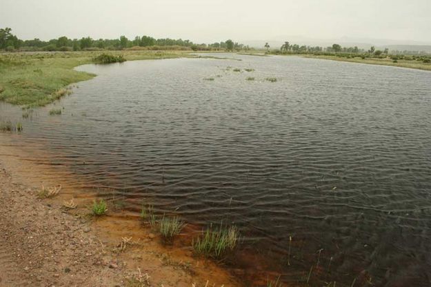 High Water. Photo by Dawn Ballou, Pinedale Online.