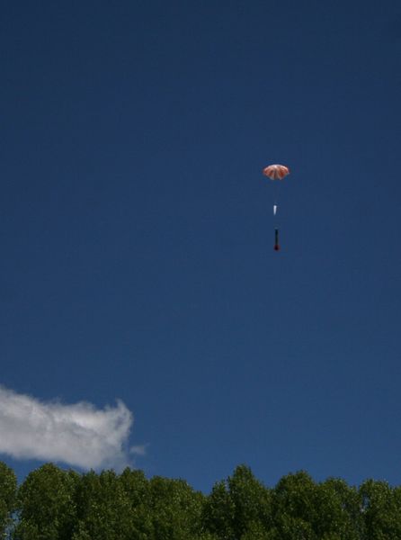 Above the Tree Tops. Photo by Pam McCulloch, Pinedale Online.