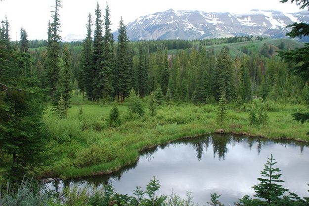 Pond. Photo by Ruth Neely, Bucky's Outdoors.