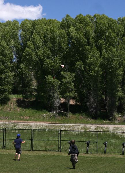 Chasing Rocket. Photo by Pam McCulloch, Pinedale Online.