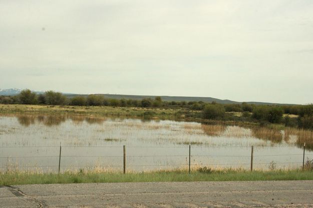 Cottonwood Creek 1. Photo by Dawn Ballou, Pinedale Online.