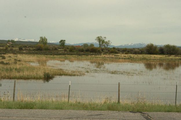 Cottonwood Creek 2. Photo by Dawn Ballou, Pinedale Online.