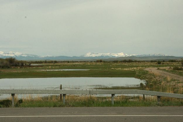 Horse Creek 1. Photo by Dawn Ballou, Pinedale Online.