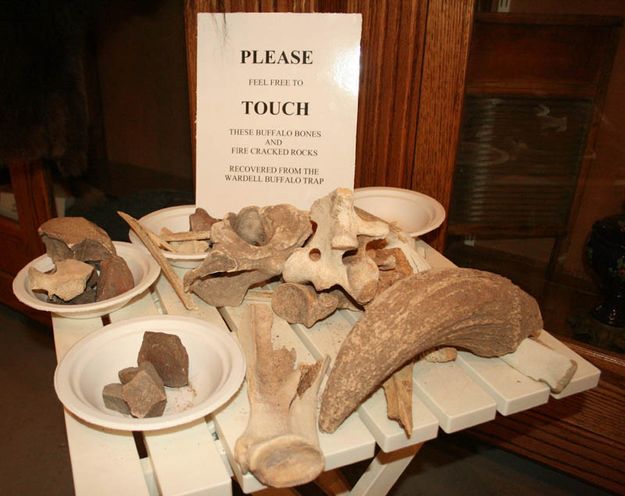 Please Touch. Photo by Dawn Ballou, Pinedale Online.