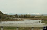 Horse Creek 2. Photo by Dawn Ballou, Pinedale Online.