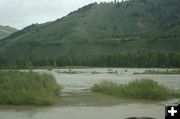 Snake River 4. Photo by Dawn Ballou, Pinedale Online.