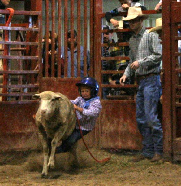 Logan Bing. Photo by Clint Gilchrist, Pinedale Online.