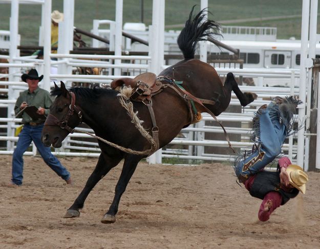 Saddle Bronc. Photo by Clint Gilchrist, Pinedale Online.