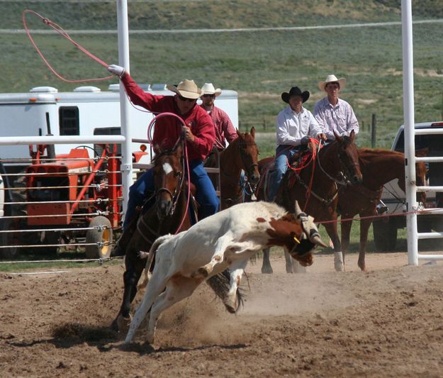 Team Roping. Photo by Clint Gilchrist, Pinedale Online.