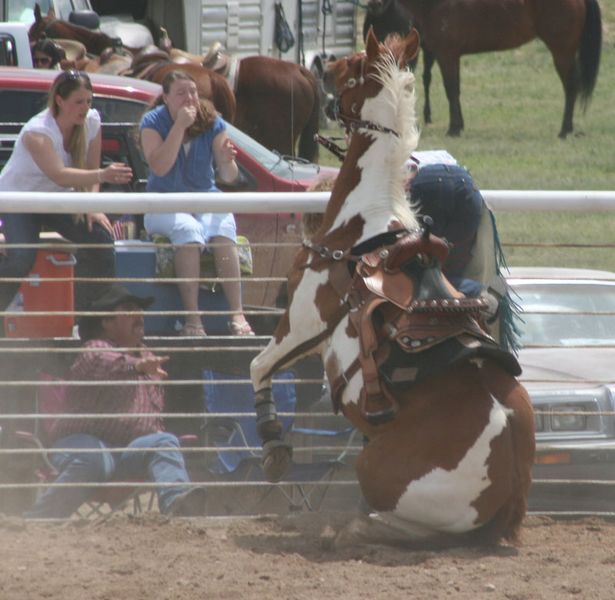 Rider Thrown. Photo by Dawn Ballou, Pinedale Online.