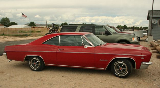 Impala. Photo by Dawn Ballou, Pinedale Online.