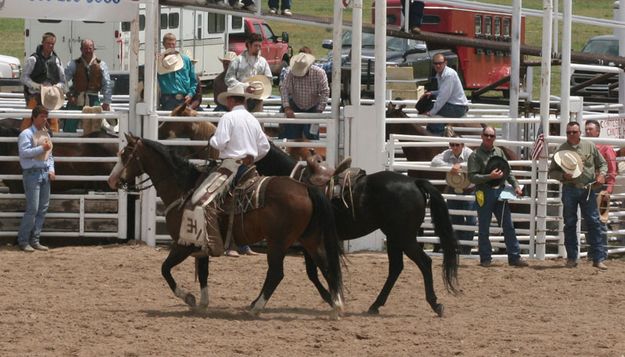 Riderless Horse. Photo by Dawn Ballou, Pinedale Online.