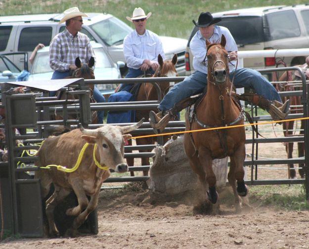 Steer Wrestling Run. Photo by Dawn Ballou, Pinedale Online.