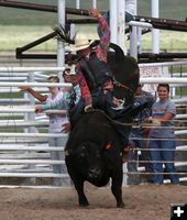 Bull Riding. Photo by Clint Gilchrist, Pinedale Online.