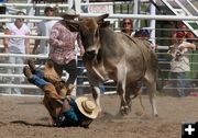 Head Case. Photo by Clint Gilchrist, Pinedale Online.