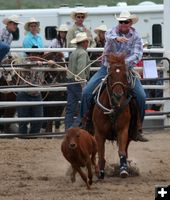 Tie Down Roping. Photo by Clint Gilchrist, Pinedale Online.