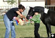 Tatum. Photo by Cat Urbigkit, Pinedale Online.