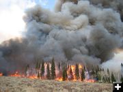 Maki Creek burn. Photo by Jill Miller, WGFD.