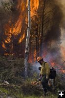 Burning Slash Piles. Photo by Mark Gocke, WGFD.