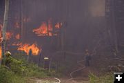 Patroling the perimeter. Photo by Mark Gocke, WGFD.