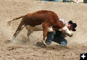 Steer Wrestling. Photo by Clint Gilchrist, Pinedale Online.