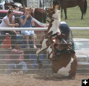 Rider Thrown. Photo by Dawn Ballou, Pinedale Online.