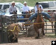 Steer Wrestling Run. Photo by Dawn Ballou, Pinedale Online.