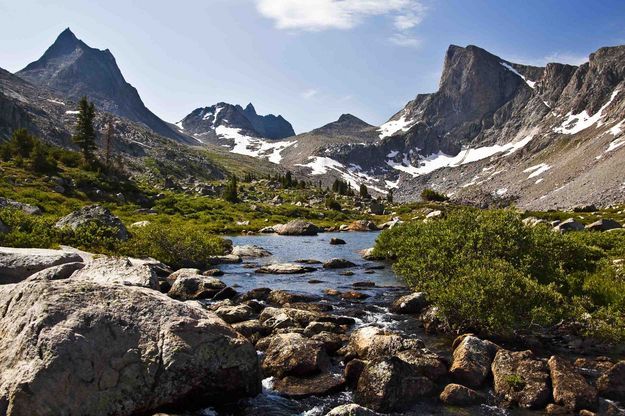 Lee Lake Outlet Stream. Photo by Dave Bell.