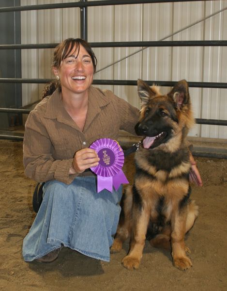 Diesel won Best of Show. Photo by Pam McCulloch, Pinedale Online.