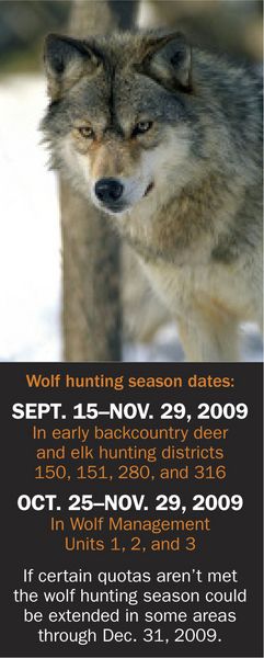Montana Wolf Hunt. Photo by Montana Fish, Wildlife & Parks.
