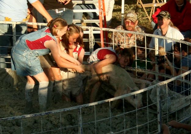 Piggy Longstockings. Photo by Dawn Ballou, Pinedale Online.