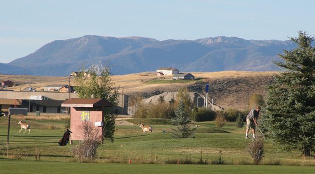 Tee #1. Photo by Pam McCulloch, Pinedale Online.