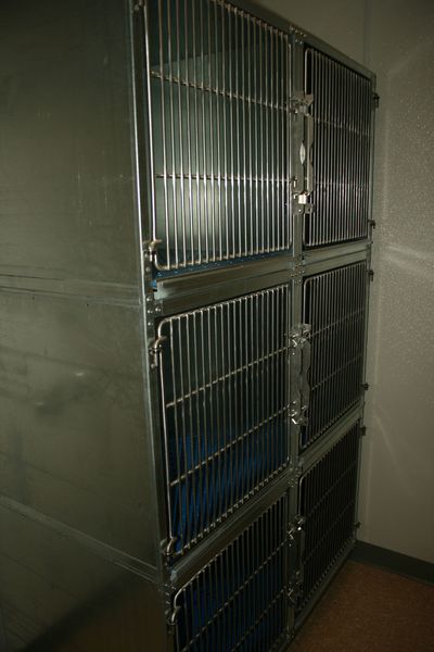 Cat Quarantine Cages. Photo by Dawn Ballou, Pinedale Online.
