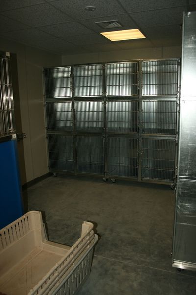 Dog Quarantine Room. Photo by Dawn Ballou, Pinedale Online.