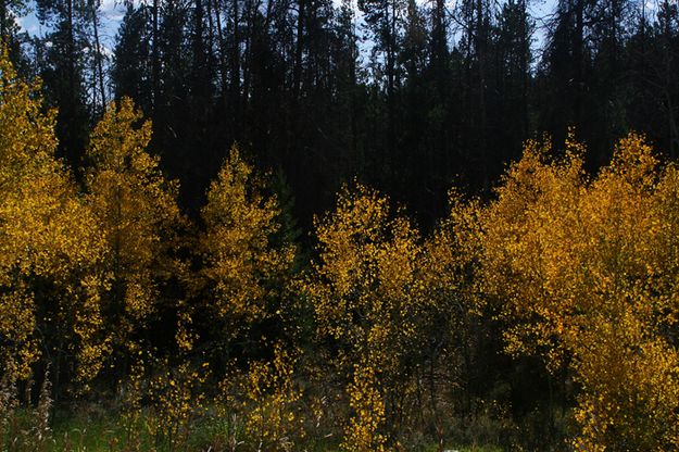 Flames. Photo by Pam McCulloch, Pinedale Online.