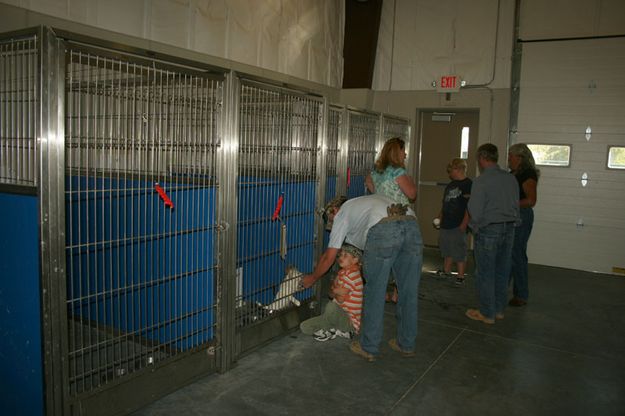 Dog Kennel. Photo by Dawn Ballou, Pinedale Online.