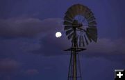 Windmill. Photo by Dave Bell.