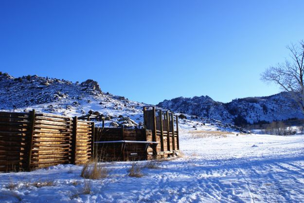 Muddy Creek trap. Photo by Cat Urbigkit, Pinedale Online.