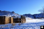 Muddy Creek trap. Photo by Cat Urbigkit, Pinedale Online.