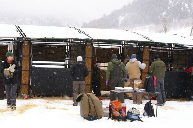 Crew working. Photo by Cat Urbigkit, Pinedale Online.