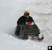 Sled 2440. Photo by Dawn Ballou, Pinedale Online.