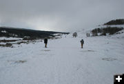 Last Musher. Photo by Dawn Ballou, Pinedale Online.