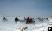 They're Off!. Photo by Dawn Ballou, Pinedale Online.