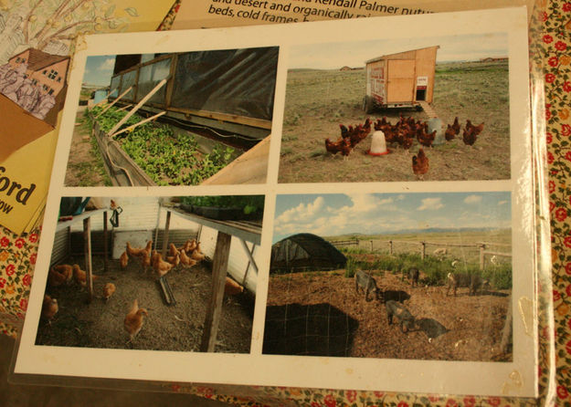 Farm Fresh Eggs. Photo by Dawn Ballou, Pinedale Online.