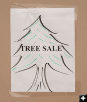 Tree Sale. Photo by Dawn Ballou, Pinedale Online.